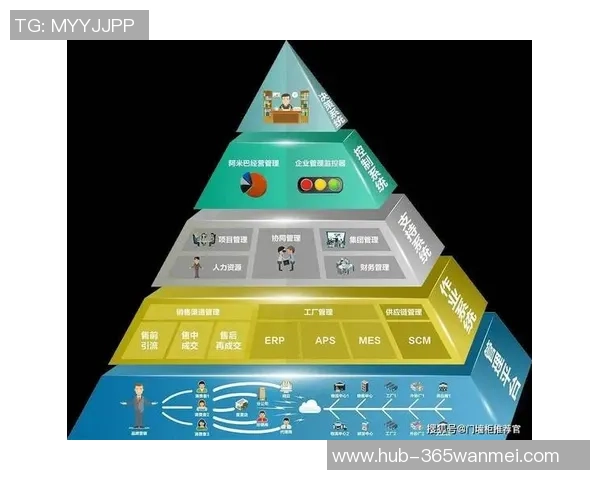 足球俱乐部组织结构解析及其对球队运营与管理的影响研究